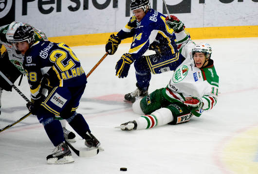 Mattias Sjögren, Rögle