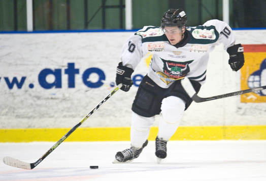 Marcus Johnsson, Trelleborg