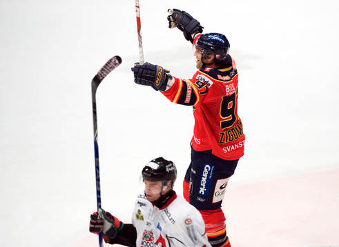 Michael Zigomanis, Djurgården (Jubel)