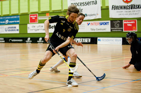 David Gillek, AIK