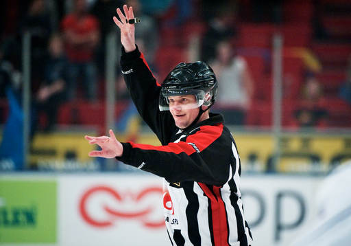 Marcus Vinnerborg, domare