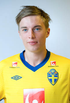 Magnus Johansson, porträtt