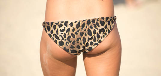 Leopardbikini, bikini
