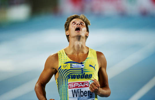 Nicklas Wiberg, Sverige, jubel