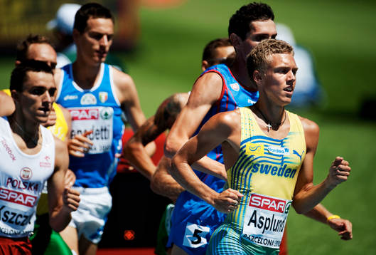 Anton Asplund, Sverige