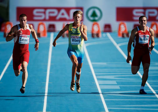 Nicklas Wiberg, Sverige