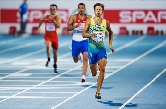 Nicklas Wiberg, Sverige