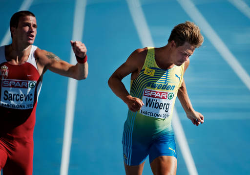 Nicklas Wiberg, Sverige