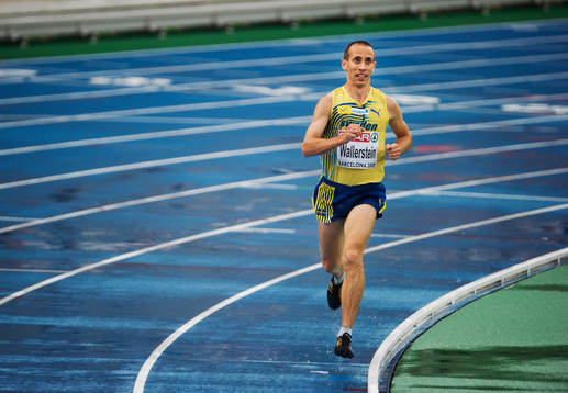 Johan Wallerstein, Sverige