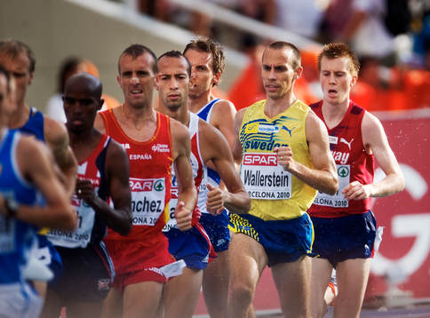 Johan Wallerstein, Sverige