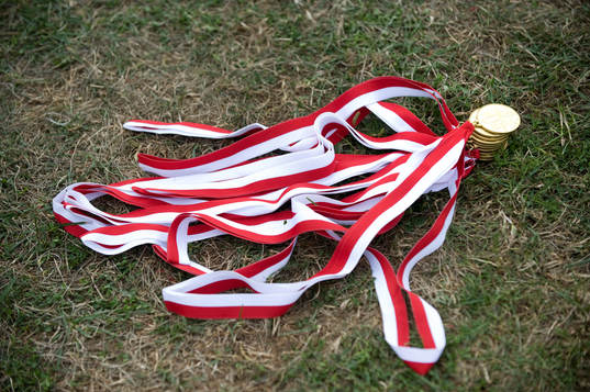 HAIS, Hässleholms AIS. Medaljer, medalj