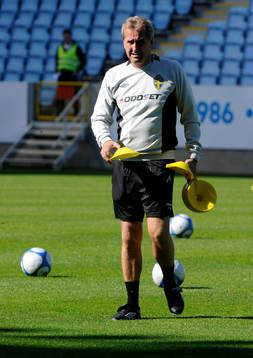Erik Hamrén, förbundskapten