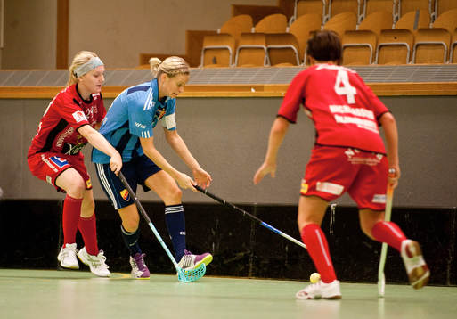 Hermine Dahlerus, Djurgården