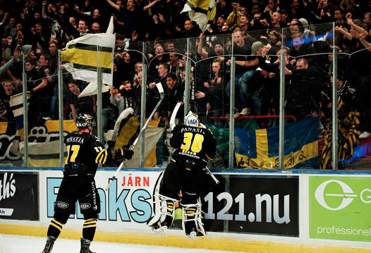 Viktor Fasth, målvakt, AIK, jubel