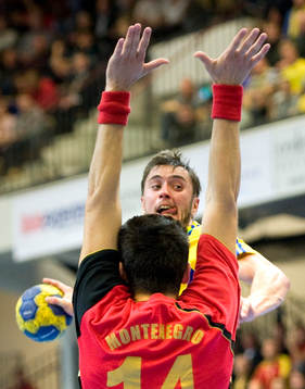 Jonas Larholm, Sverige