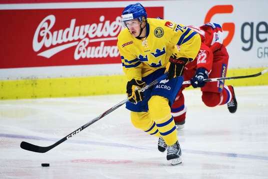 Fredrik Warg, Sverige