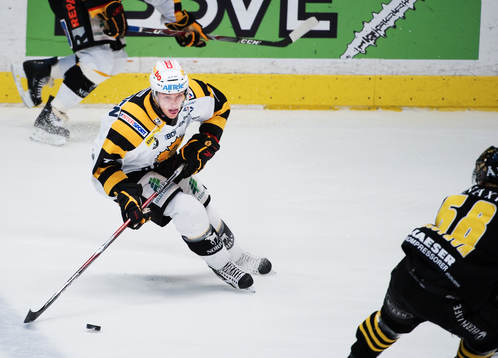 David Rundblad, Skellefteå