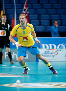 Joel Kanebjörk, Sverige