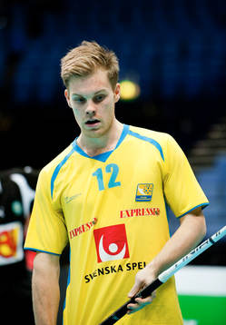 Henrik Stenberg, Sverige