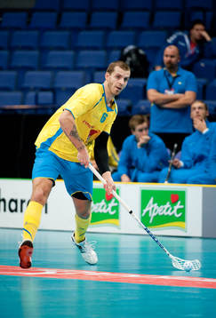 Mattias Wallgren, Sverige