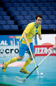 Mathias Larsson, Sverige