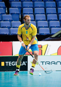 Joel Kanebjörk, Sverige