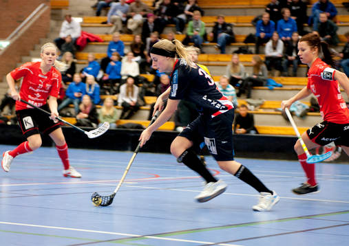 Alicia Fylke, Pixbo