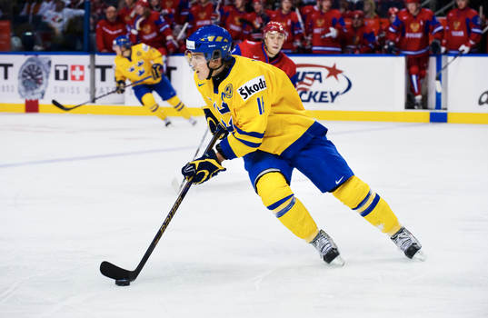 Anton Lander, Sverige