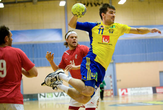 Dalibor Doder, Sverige