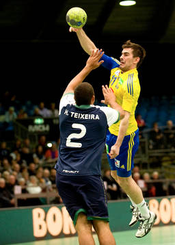 Dalibor Doder, Sverige