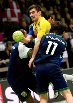 Dalibor Doder, Sverige