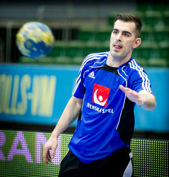 Dalibor Doder, Sverige