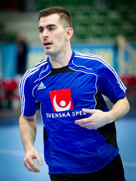 Dalibor Doder, Sverige