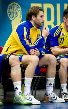 Fredrik Larsson, Sverige