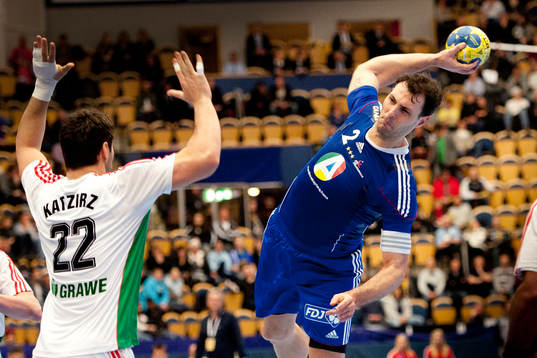 Jerome Fernandez, Frankrike