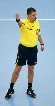 Nenad Krstic, Slovakien, domare