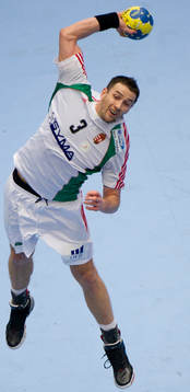 Ferenc Ilyes, Ungern