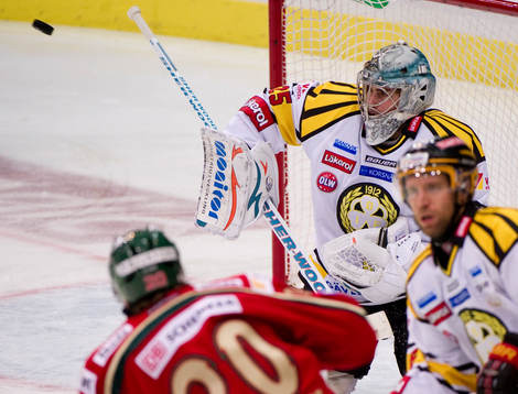 Thomas Greiss, målvakt, Brynäs