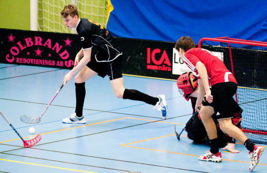 Innebandy, division 2 Skåne, Lönsboda - Höllviken