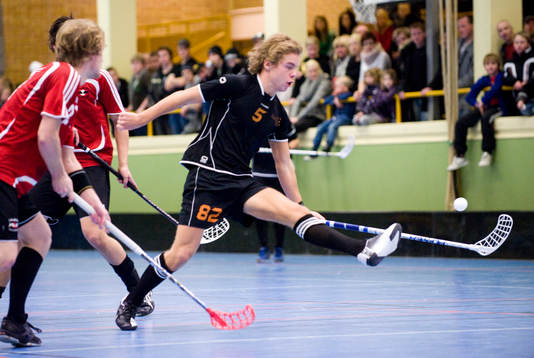 Nr 5 i Höllviken