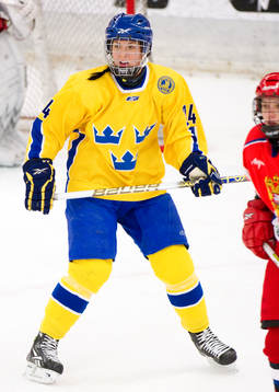 Erika Grahm, Sverige