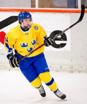 Malin Sonefors