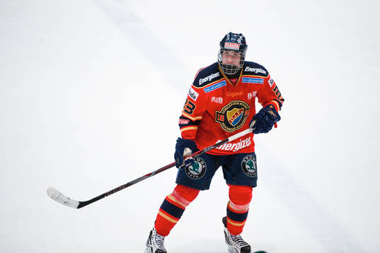 Mika Zibanejad,  Djurgården