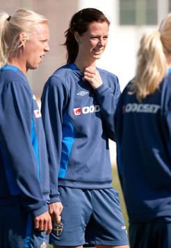 Lotta Schelin, Sverige