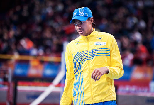 Michel Tornéus, Sverige
