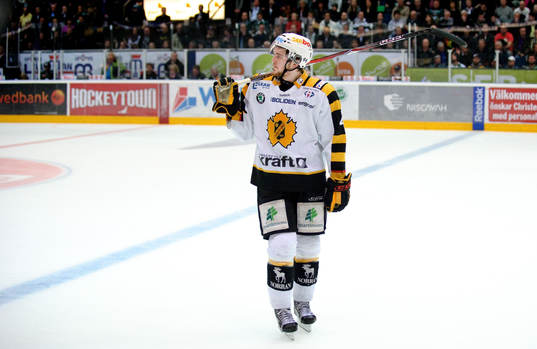 Tim Erixon, Skellefteå, depp