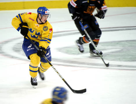 Stefan Johansson, Sverige