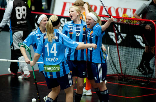 Jubel i Djurgården