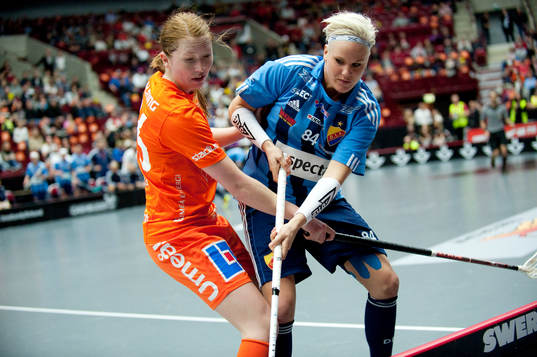 Ann-Sofie Sundholm, Djurgården
