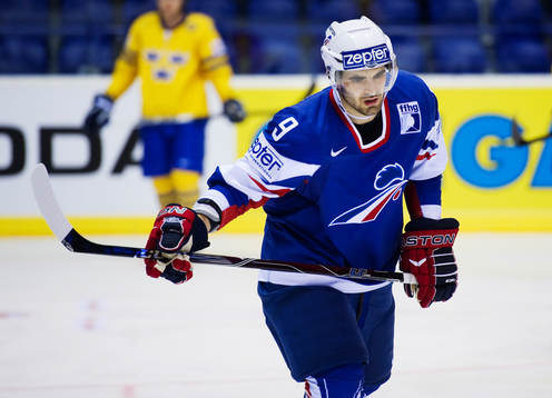 Damien Fleury, Frankrike